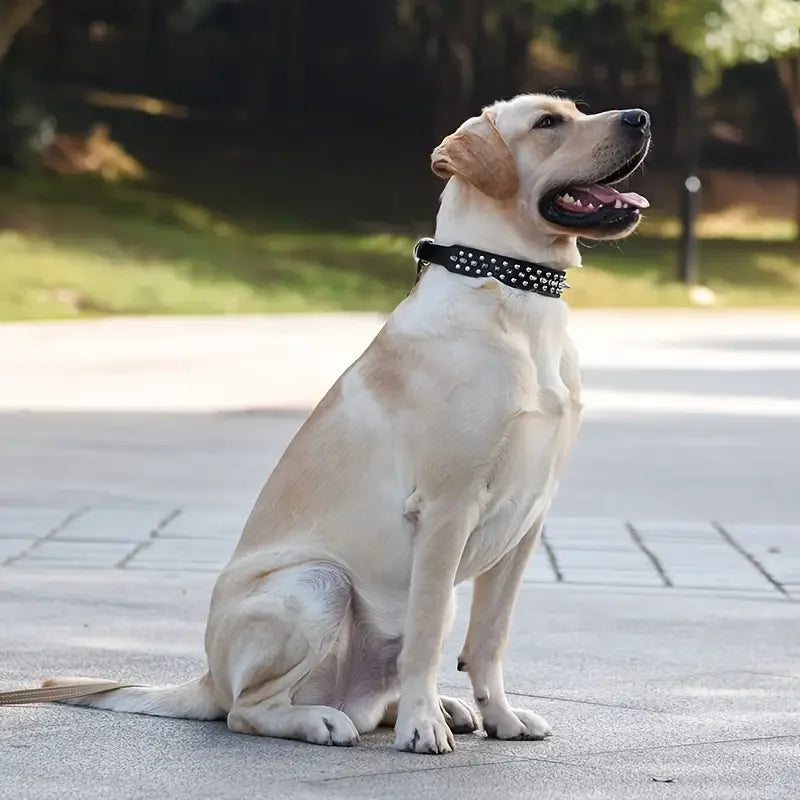 Spiked Rivet Leather Dog Collar & Leash Set | Adjustable | Outdoor Walking