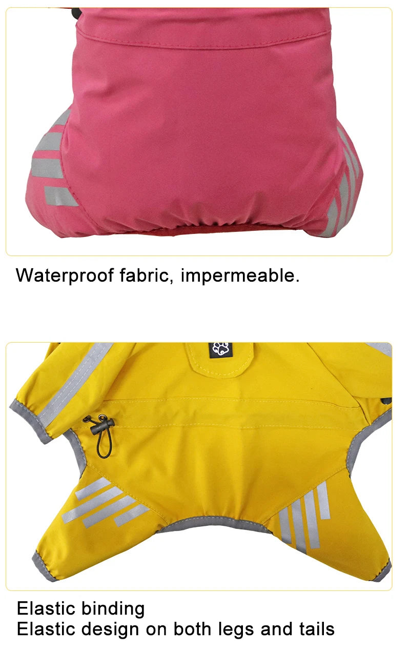 Raincoats Dog Reflective