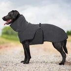 Large Dogs Apparel