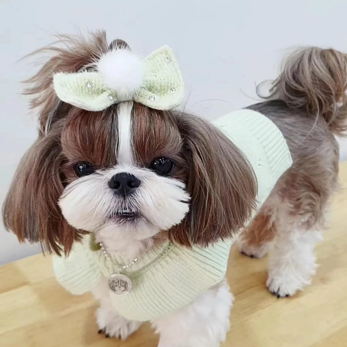 Cashmere Knit Dog Sweater
