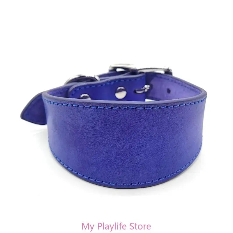 Padded Leather Sighthound Dog Collar