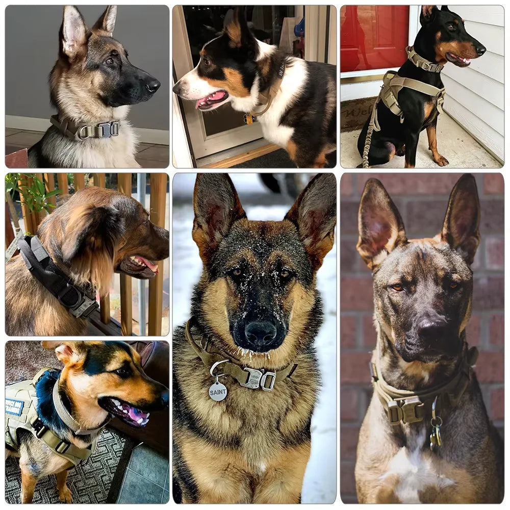 Tactical Dog Collar with Control Handle — 1000D Nylon, Double Closure & D-Ring | Collar Only or Collar & Leash Set | M–XL