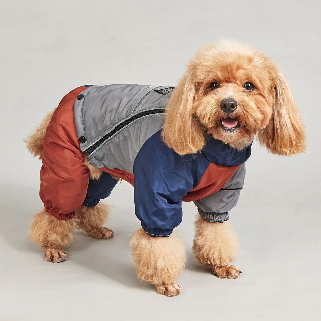 Winter Dog Jacket