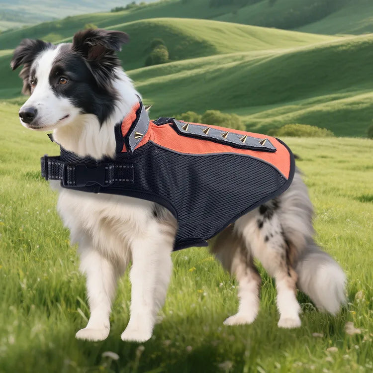 Anti-Bite Dog Jacket with Studs — Outdoor Protective Clothing for Dogs | XS–M