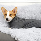 Anti-Shedding Dog Pajamas - Soft Four-Legged Jumpsuit
