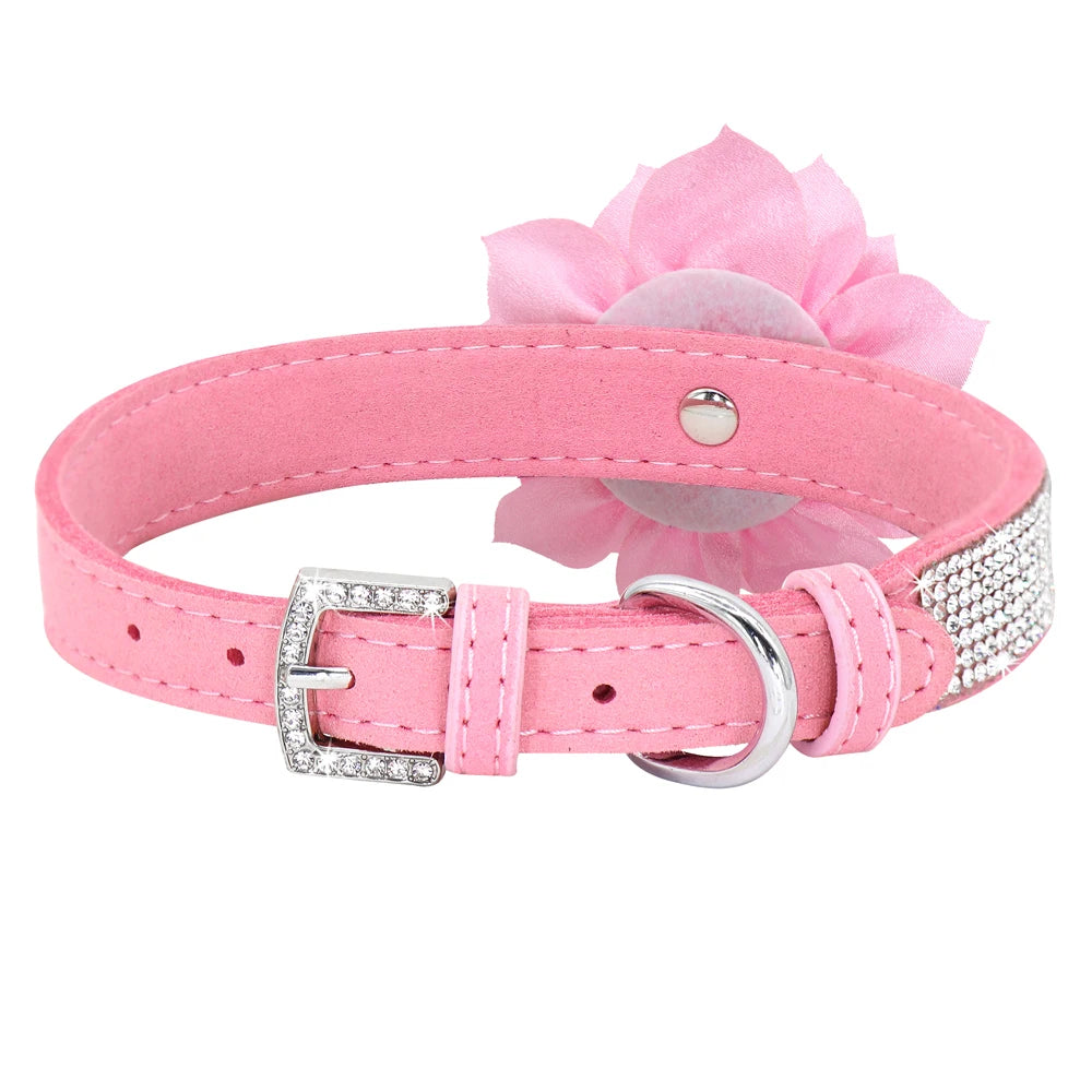 Rhinestone Dog Collar — Glitter Floral Suede Leather Collar & Optional 4ft Leash Set | Black, Blue, Pink & Purple | XS–L