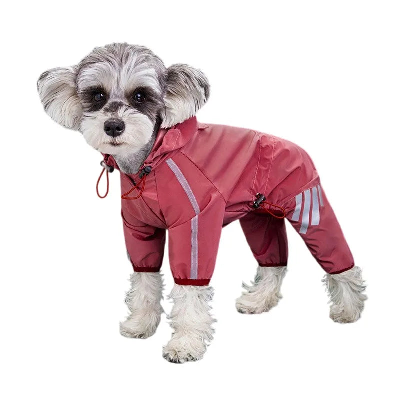 Raincoats Dog Reflective