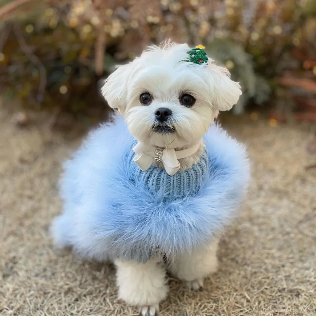Luxury Fur Dog Coat — Warm Core Yarn Sweater for French Bulldogs, Pugs & Small Breeds | Autumn & Winter | 3 Colors