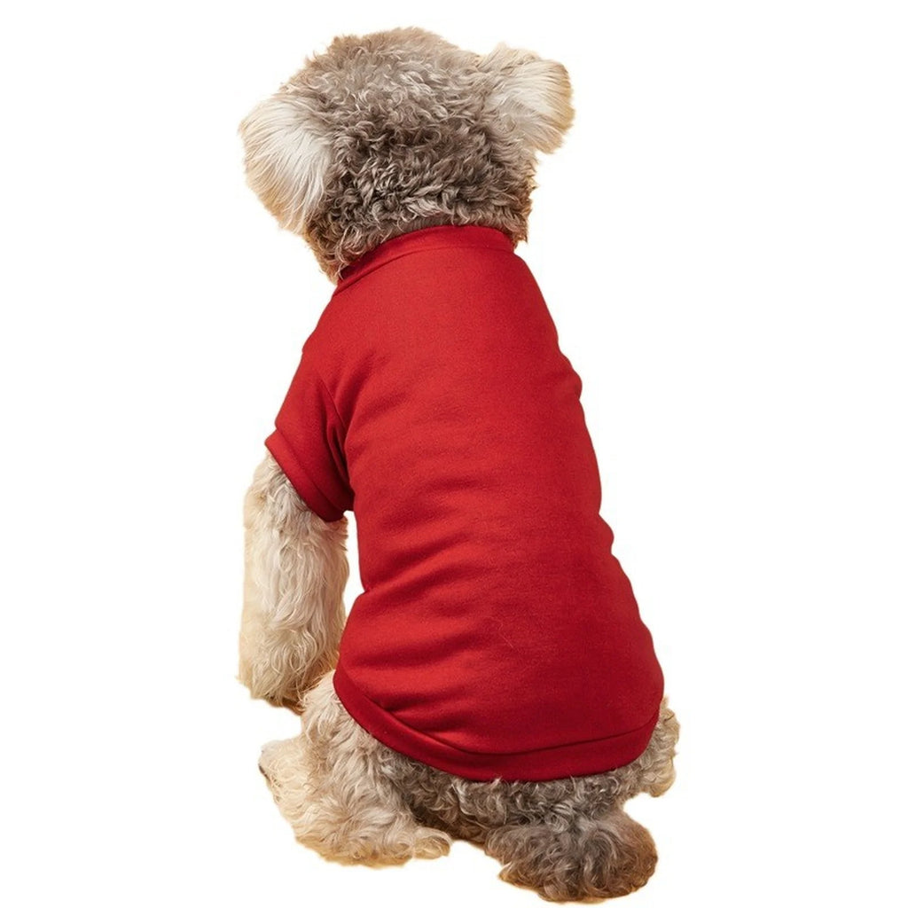 Lightweight Dog T-Shirt
