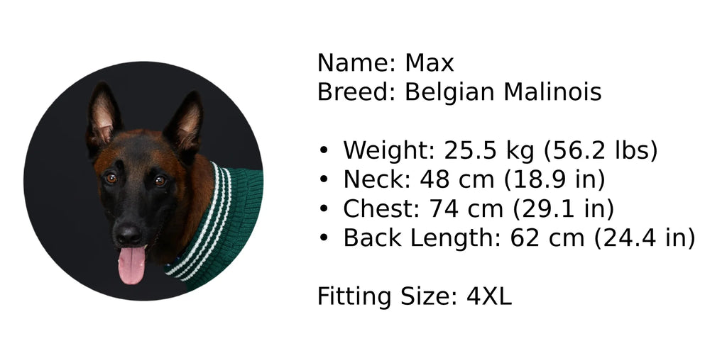 Dog Hoodie with Pocket, Leather Patch, Hook and Loop Fastener Collar -