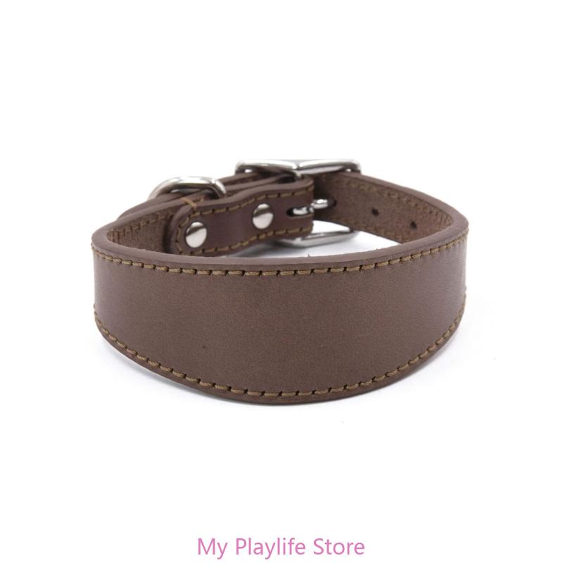 Padded Leather Sighthound Dog Collar