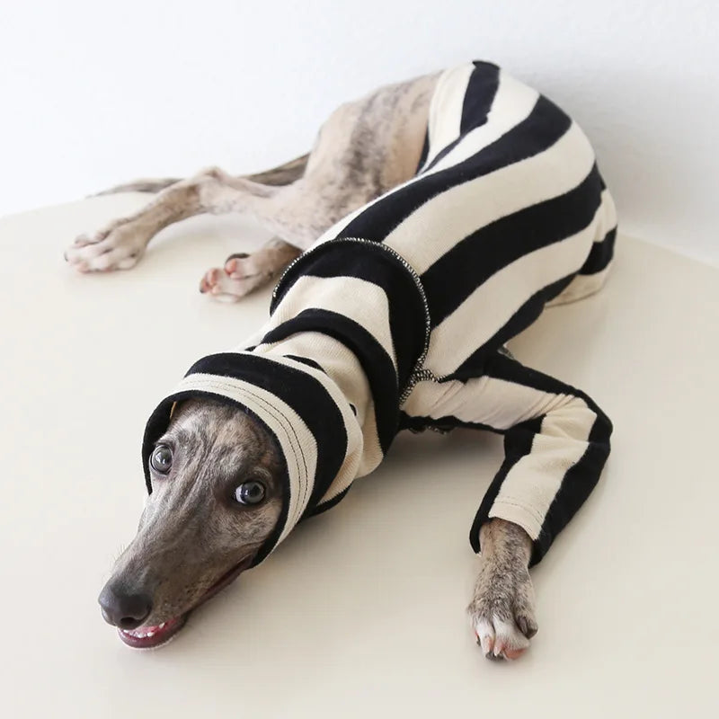 Winter Knitted Thing Dog Greyhound 2 Legged  Long Sleeve Pet Shirts Slim Dog Whibitt Pajamas Sweatshirts Knitwear