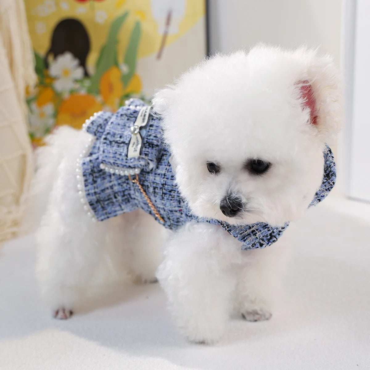 1-Piece Dog Clothes Cat Dog Pet Dress Autumn and Winter Thickened Warm Blue Skirt with Small Backpack