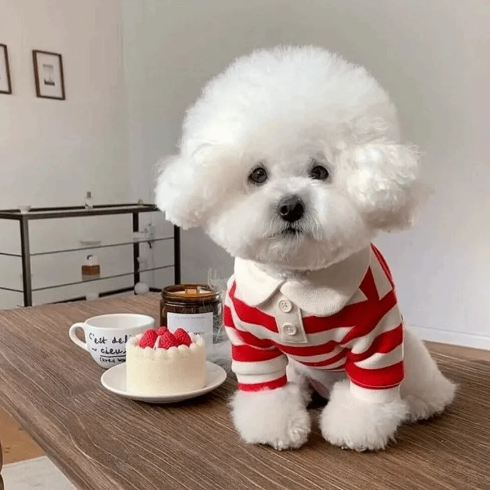 Striped Collared Dog Shirt & Breathable Cooling Vest — Soft Polyester T-Shirt for Small Dogs | XS–2XL