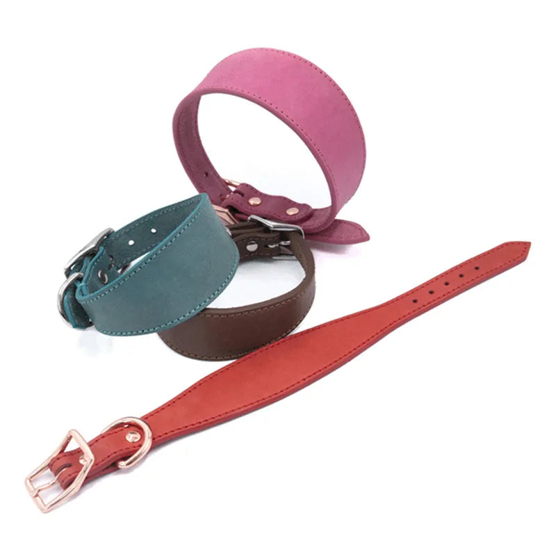 Padded Leather Sighthound Dog Collar