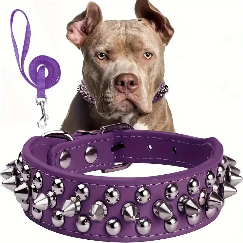 Spiked Rivet Leather Dog Collar & Leash Set | Adjustable | Outdoor Walking