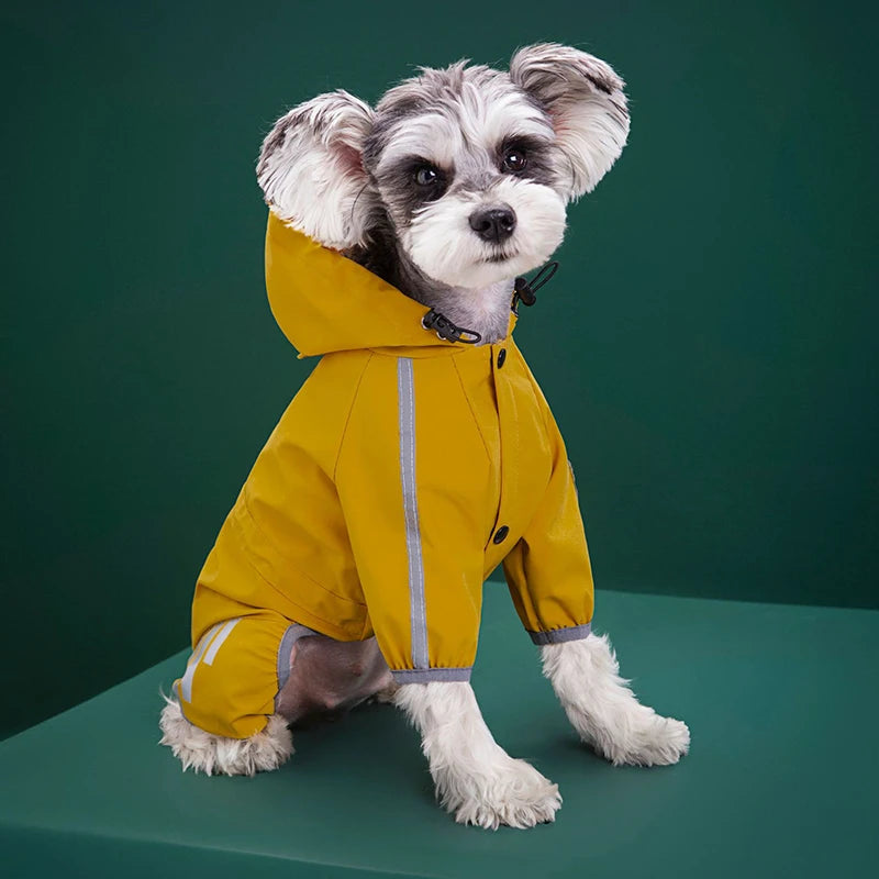 Raincoats Dog Reflective