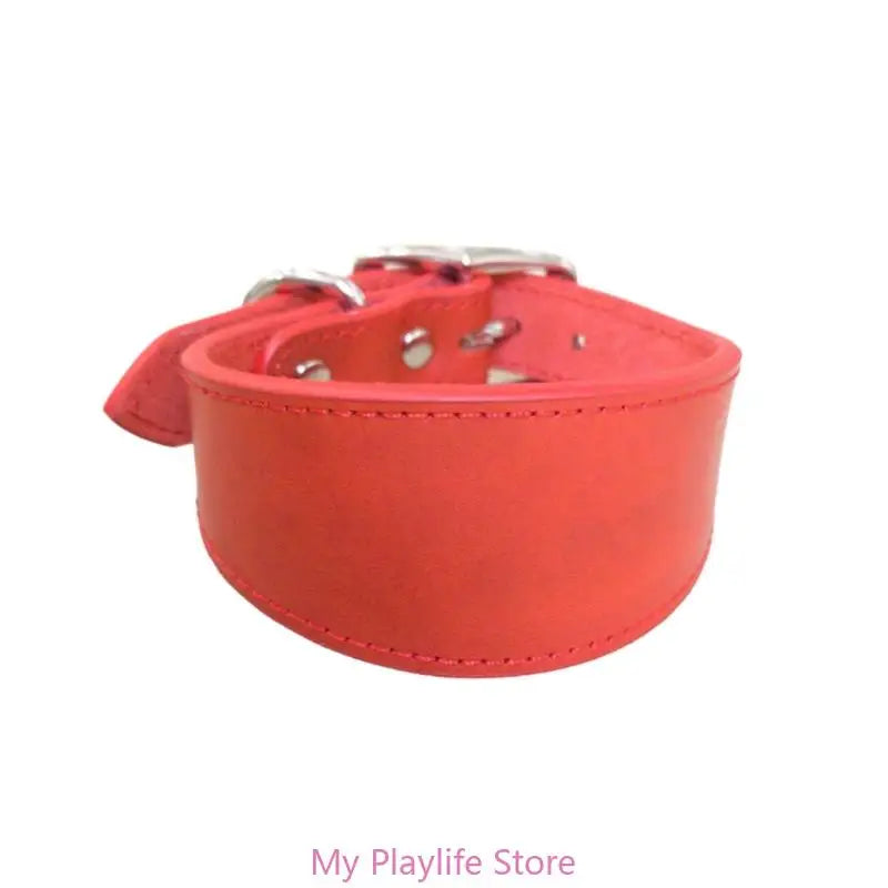 Padded Leather Sighthound Dog Collar