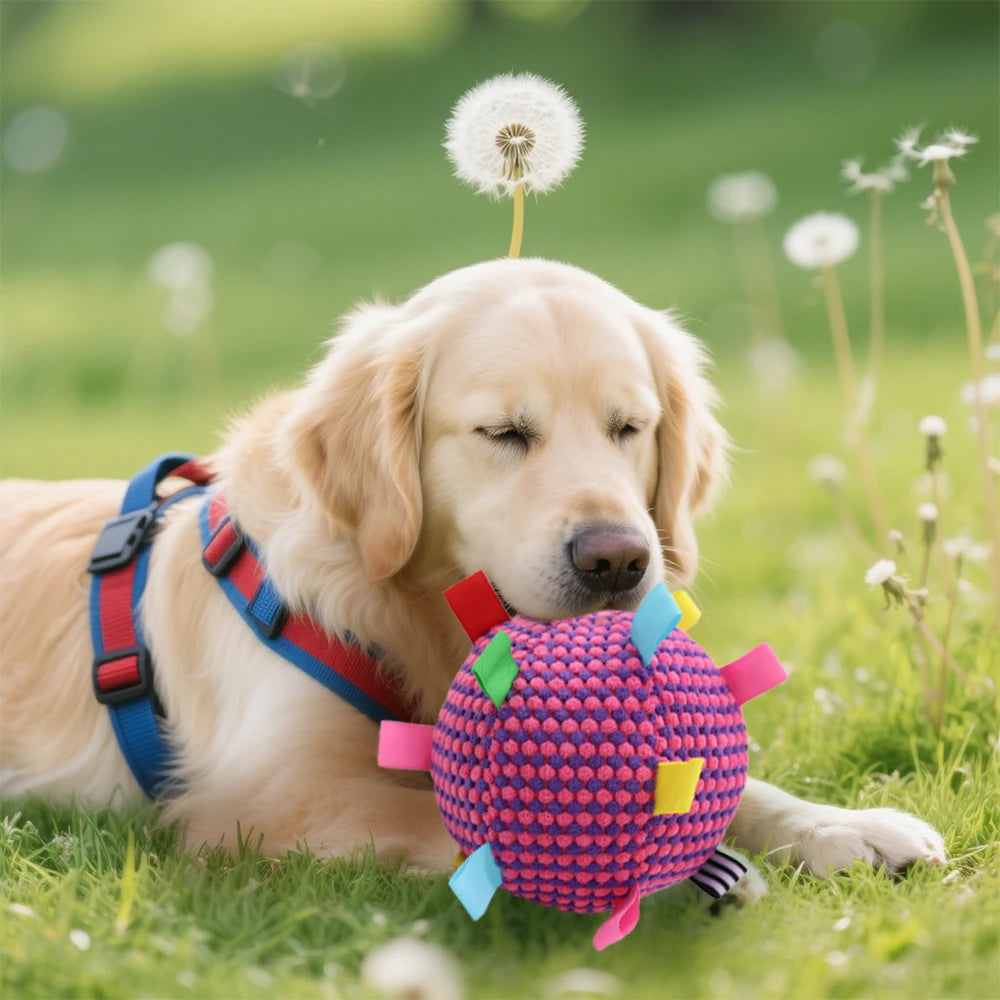Interactive Plush Ball Dog Toy