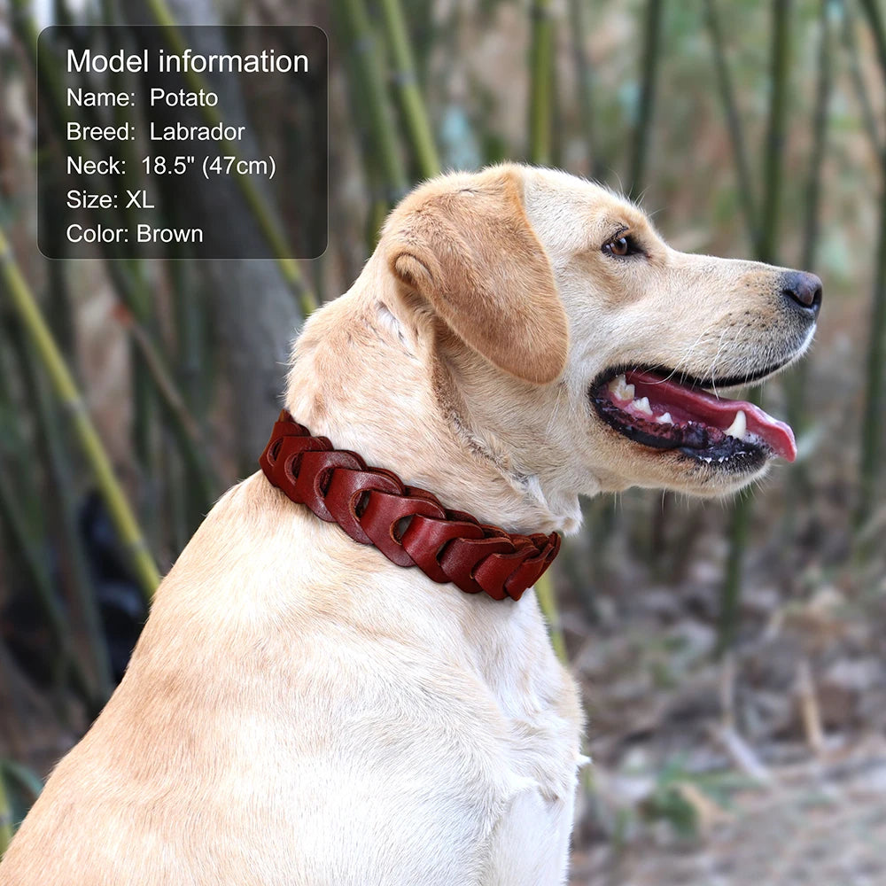 Cow Leather Dog Collar Genuine Leather Big Dog Collars Labrador Pet Collars Accessories for Medium Large Dogs German Shepherd Fashioned Furbabies