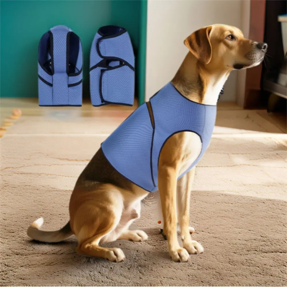 image0