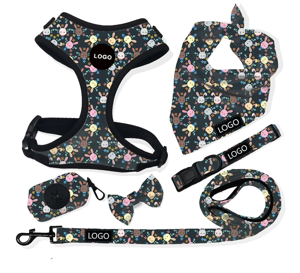 Custom Neoprene Waterproof Padded Mesh Designer Pet Bandana Neck Collar Lead Set Dog Harness Leash