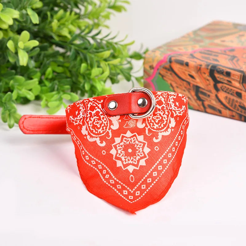 Dog & Cat Collar with Scarf | Adjustable PU Collar | XS–XL