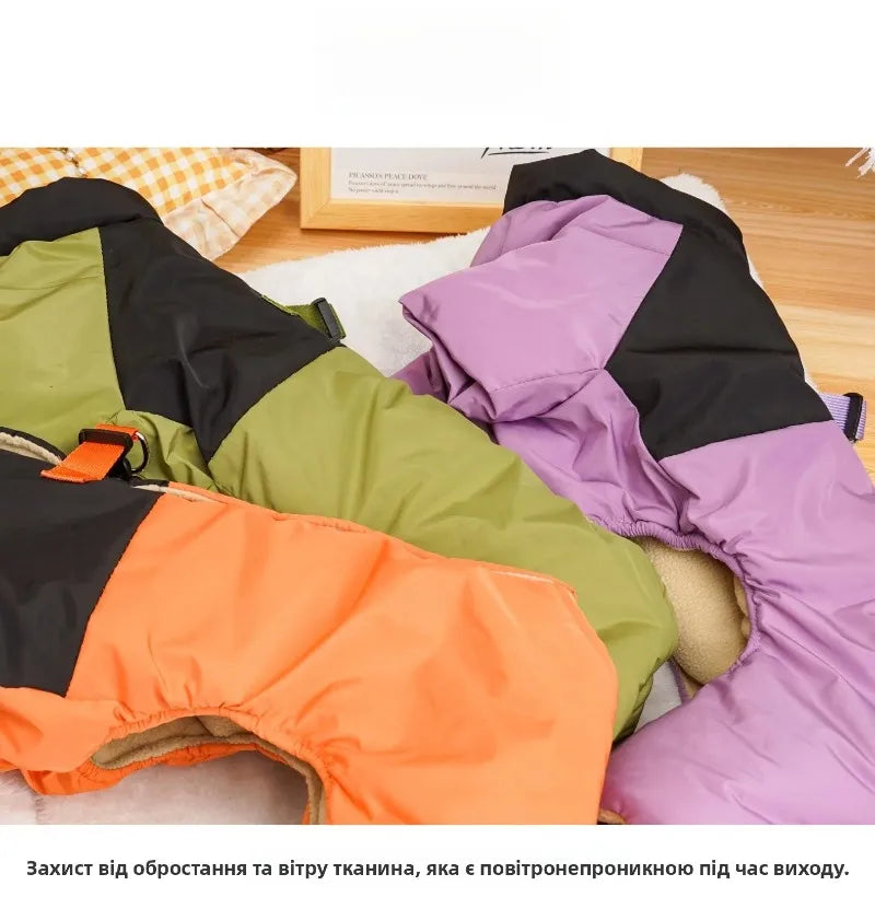 Four Legs Dog Face Design