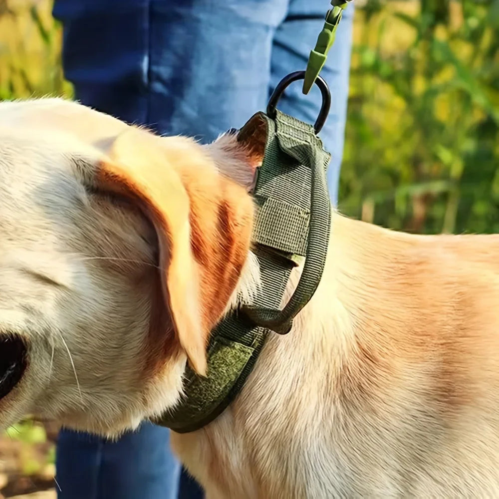 Tactical Dog Collar with Control Handle — 1000D Nylon, Double Closure & D-Ring | Collar Only or Collar & Leash Set | M–XL