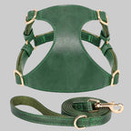 Soft Genuine Leather Dog Harness Leash Set Small Medium Dogs Cats Harness Vest For Chihuahua French Bulldog Walking Training Fashioned Furbabies