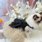 Fashion Sexy Black Roseflower Puppy Dog Clothing Sequin Lace Sling Princess Dress For Small Medium Dog Chihuahua Pet Dog Clothes Fashioned Furbabies