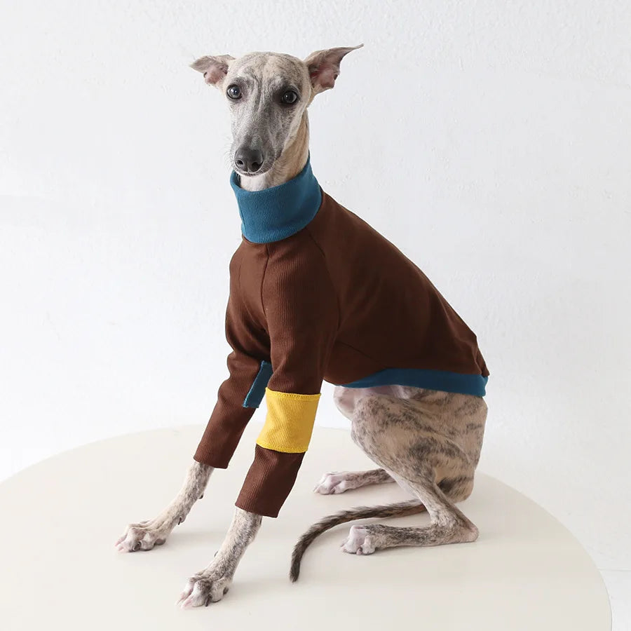 Winter Knitted Thing Dog Greyhound 2 Legged  Long Sleeve Pet Shirts Slim Dog Whibitt Pajamas Sweatshirts Knitwear
