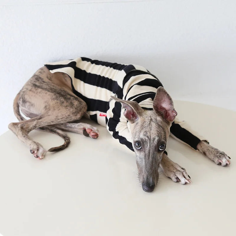 Winter Knitted Thing Dog Greyhound 2 Legged  Long Sleeve Pet Shirts Slim Dog Whibitt Pajamas Sweatshirts Knitwear