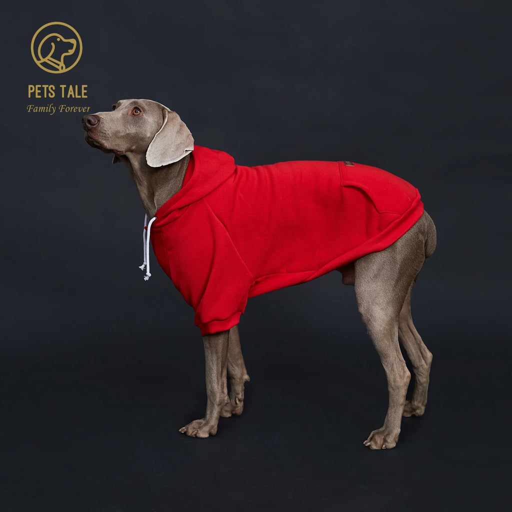 Dog Hoodie with Pocket, Leather Patch, Hook and Loop Fastener Collar -