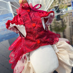 Butterfly Wing Princess Dress - Handmade Lace & Flower Design