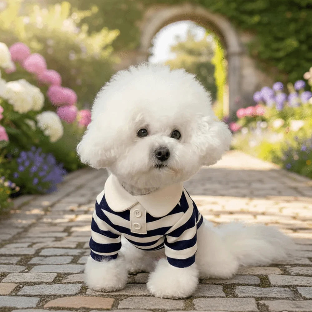 Striped Collared Dog Shirt & Breathable Cooling Vest — Soft Polyester T-Shirt for Small Dogs | XS–2XL