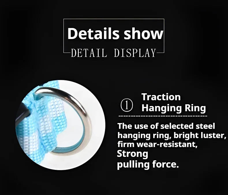 LED Glow Dog Collar & Leash | Nylon Night Safety Flashing Collar