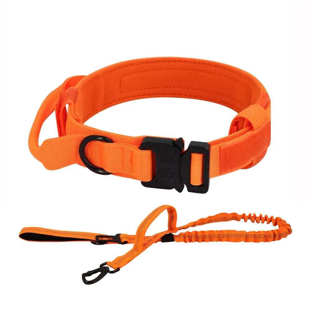 Tactical Dog Collar with Control Handle — 1000D Nylon, Double Closure & D-Ring | Collar Only or Collar & Leash Set | M–XL