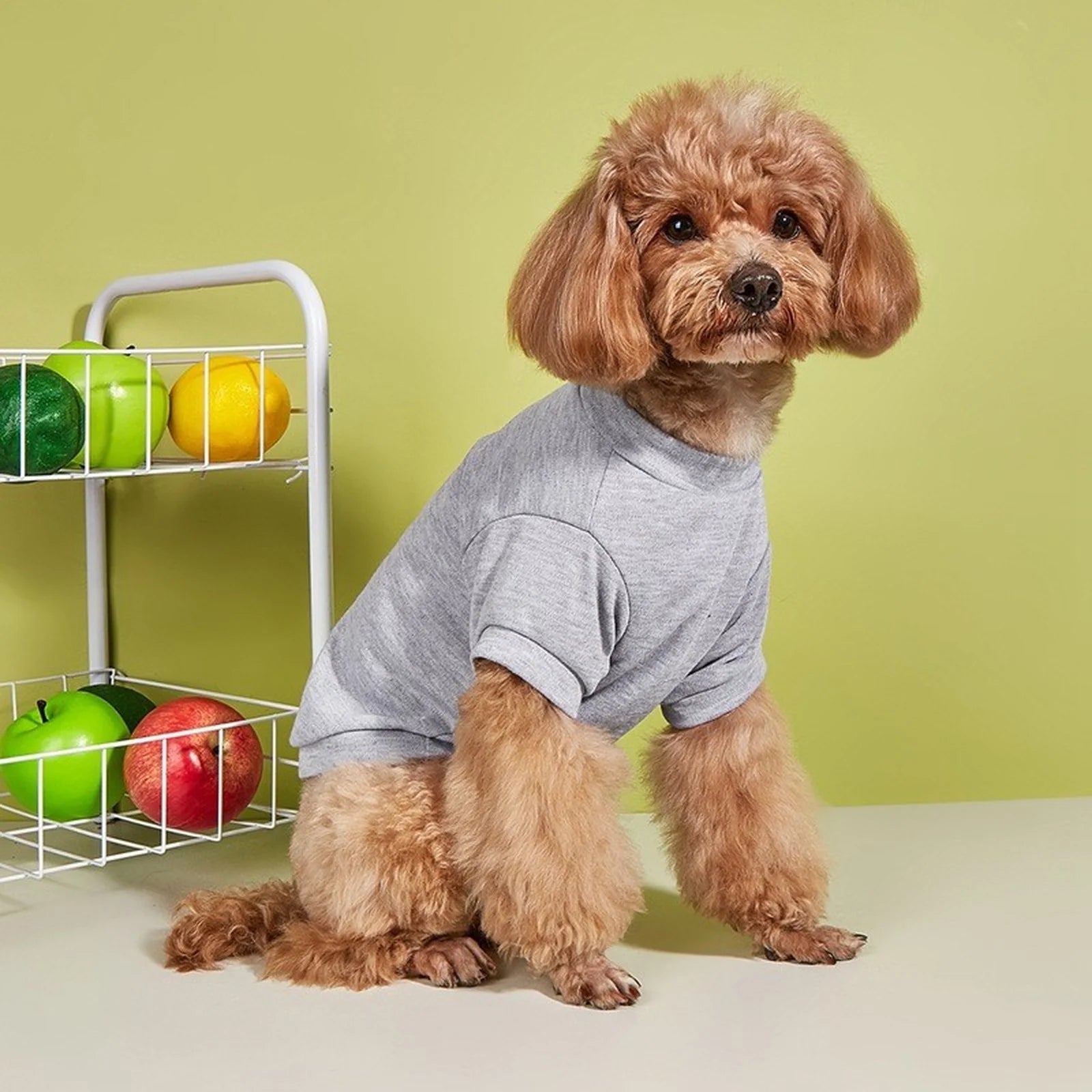 Lightweight Dog T-Shirt