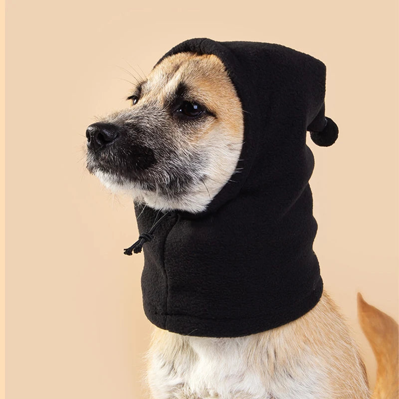 Pet winter hat