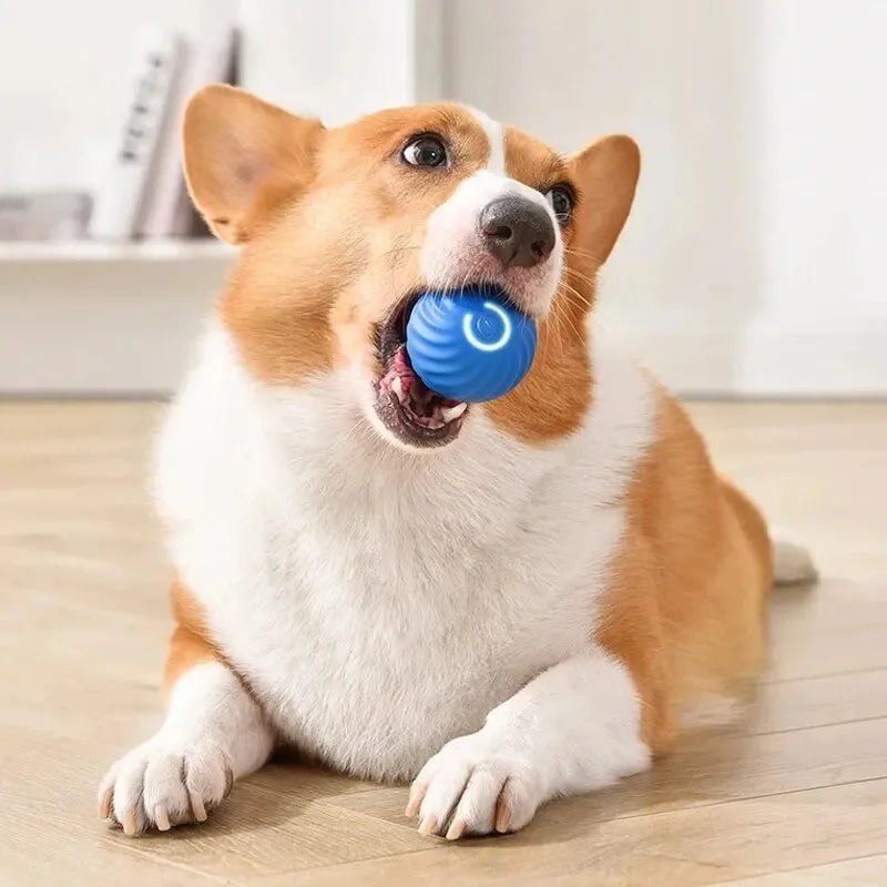 Smart Interactive Bouncing Ball Toy — USB Rechargeable Auto-Moving Ball for SmallDogs & Cats | 3-Hour Playtime | Dual Mode￼ (please observe pets when playing with this toy)
