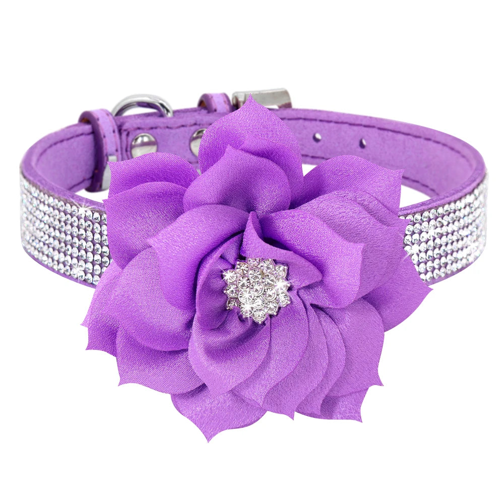 Rhinestone Dog Collar — Glitter Floral Suede Leather Collar & Optional 4ft Leash Set | Black, Blue, Pink & Purple | XS–L