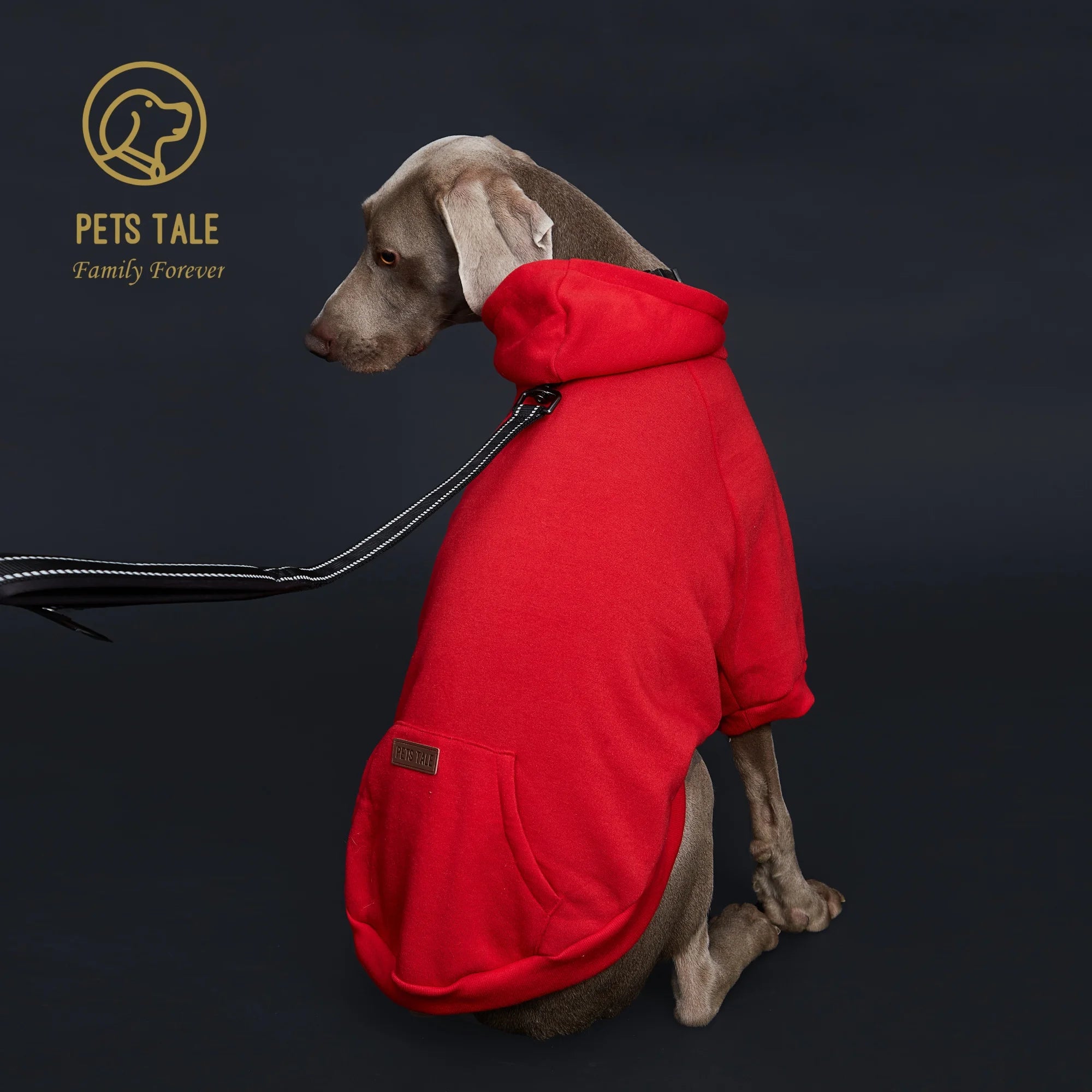 Dog Hoodie with Pocket, Leather Patch, Hook and Loop Fastener Collar -