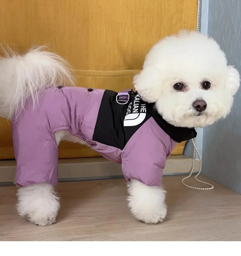 Four Legs Dog Face Design