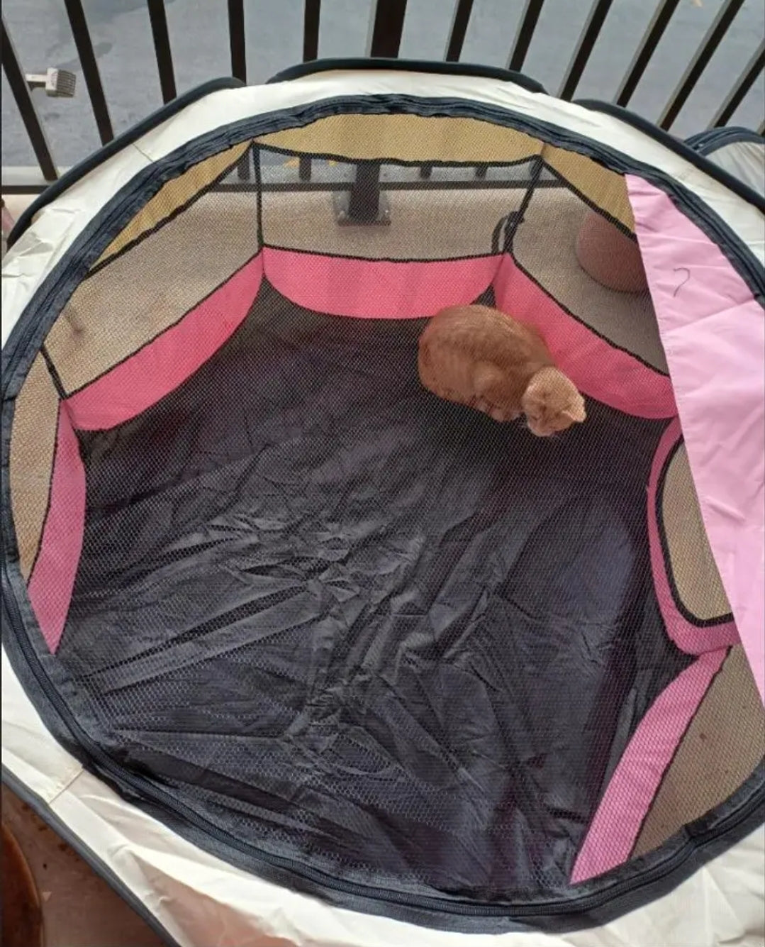 Brown Foldable Pet Playpen, Tent