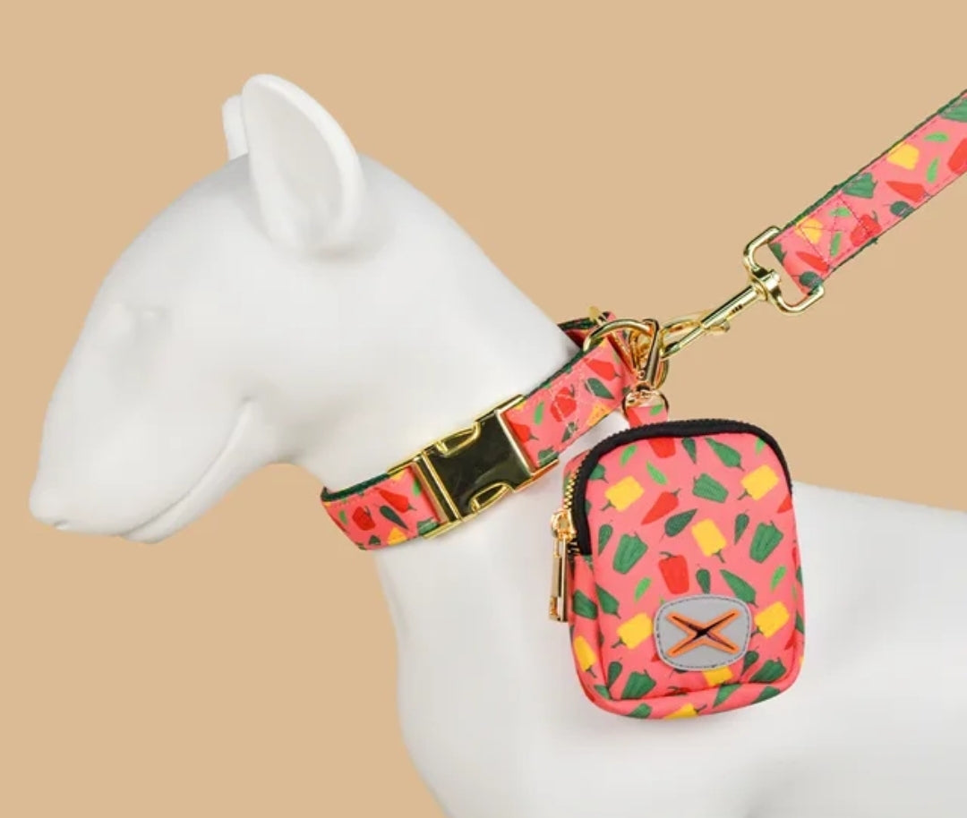 Fun Durable Dog Leash and Poop Bag! (SMALL COLLARS ON Electric AND WHITE LEASHES SET)