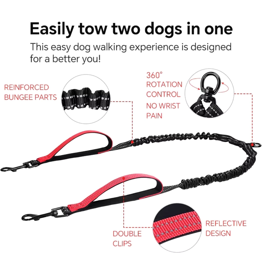 Double dog leash tangle free, bungee design, shock absorbing