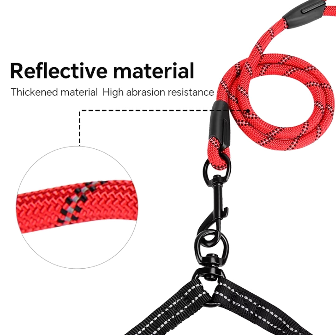 Double dog leash tangle free, bungee design, shock absorbing