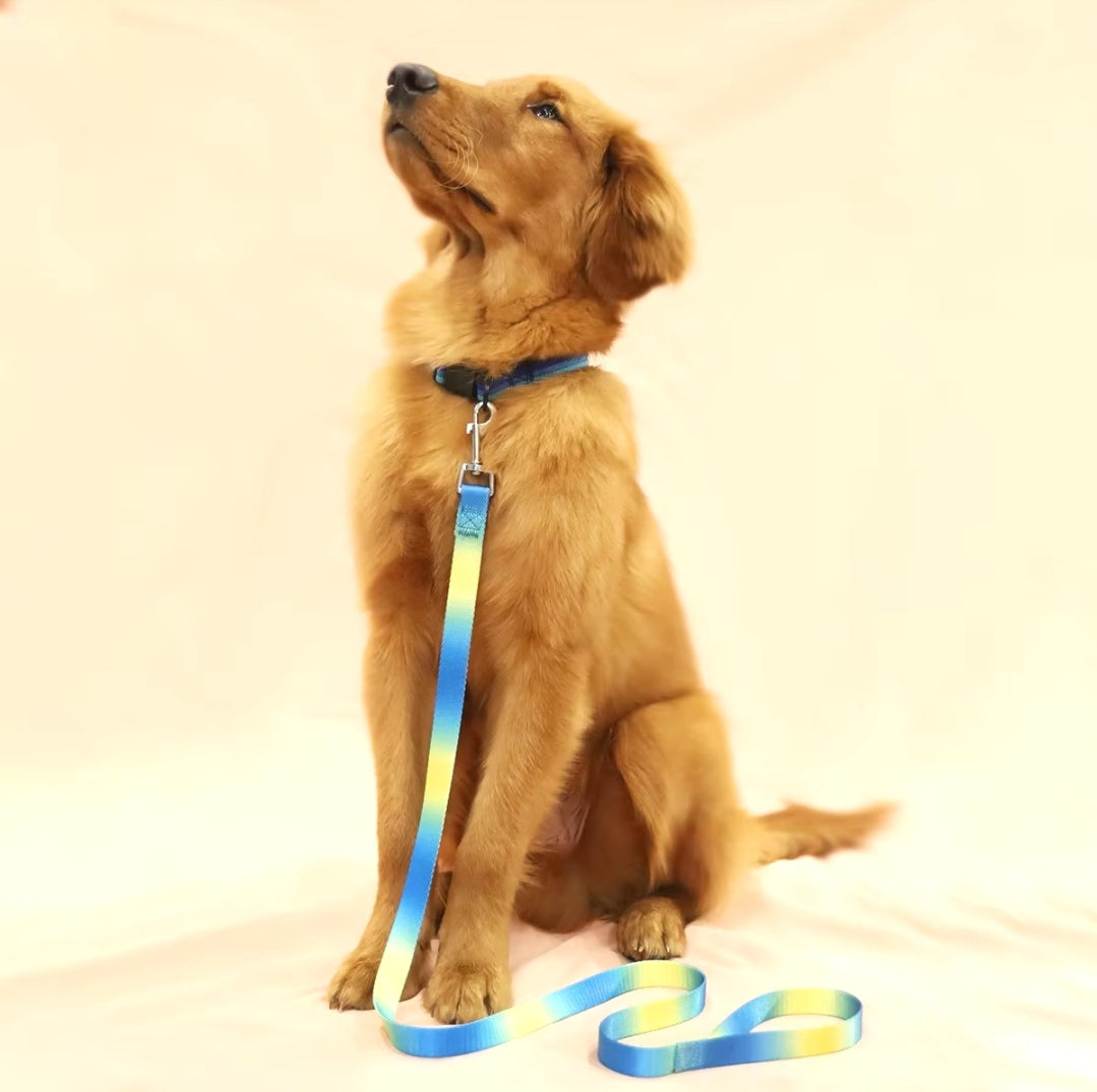 Lightweight leashes