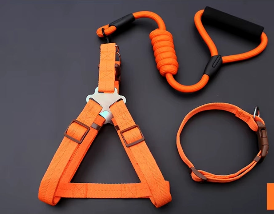 Nylon Dog Harness, Leash and Collar Set! 14-21in